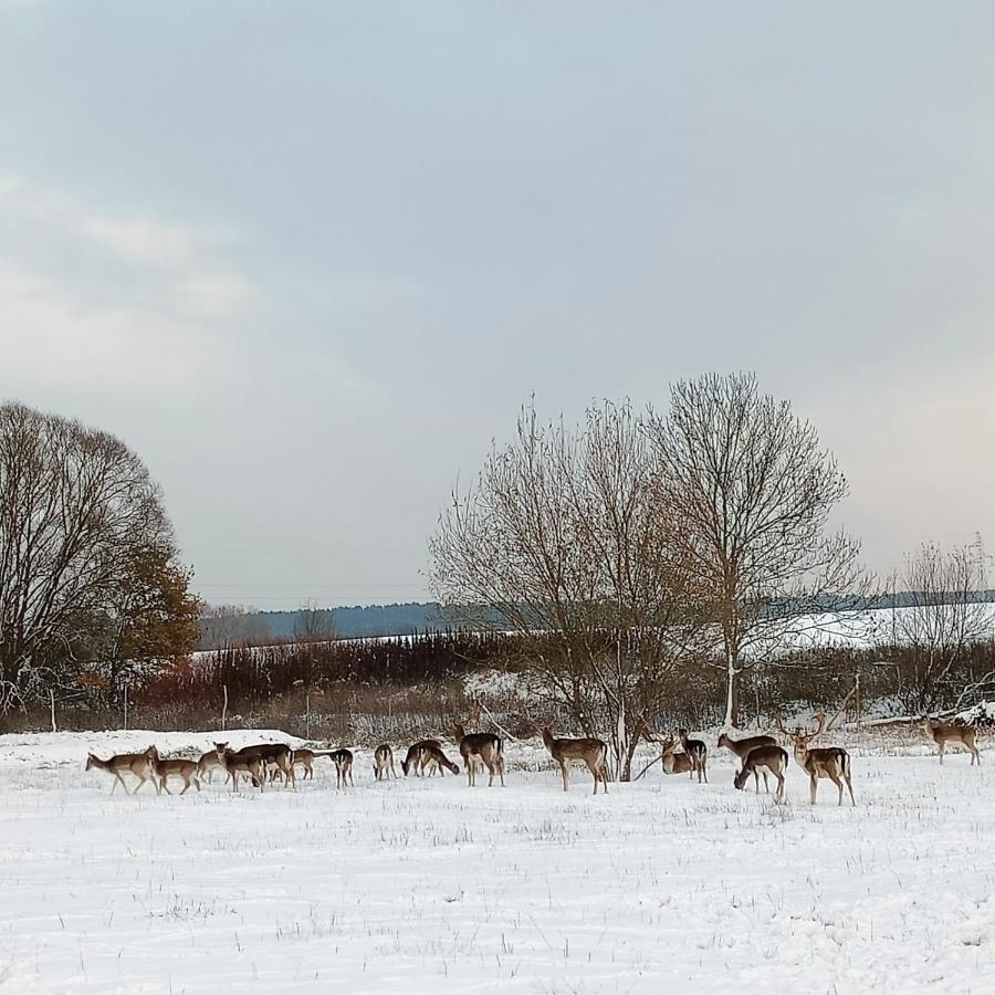 Smocze Ranczo 2 Villa Osno Lubuskie Luaran gambar